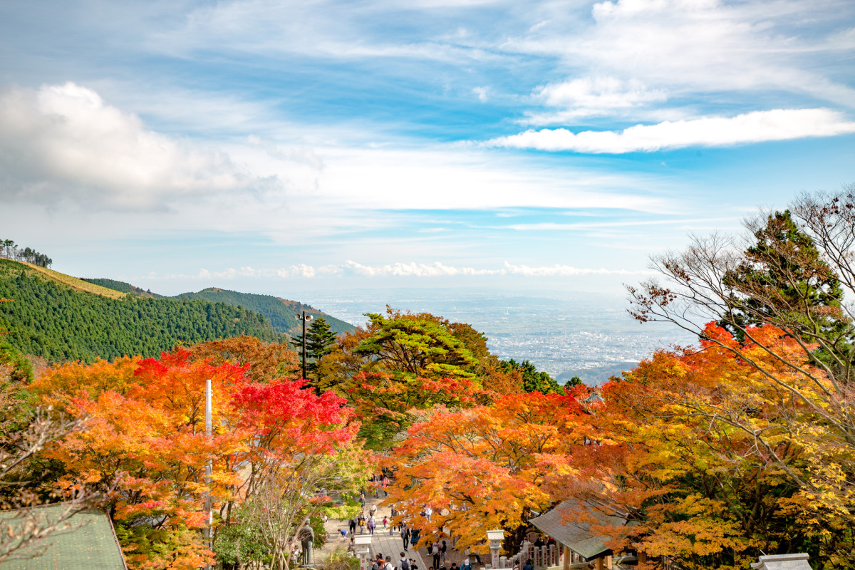 阿 夫 利 神社